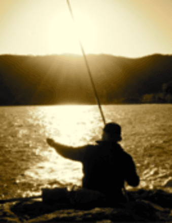 William Joseph Sheppard, Jr. Obituary